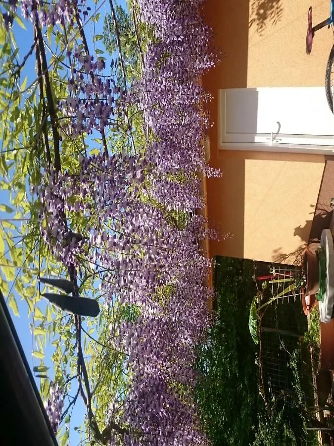 Apartments Beti Porec